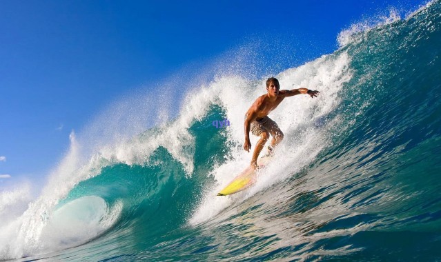 科尔证实梅尔顿恢复进展顺利 有望随队出征关键客场