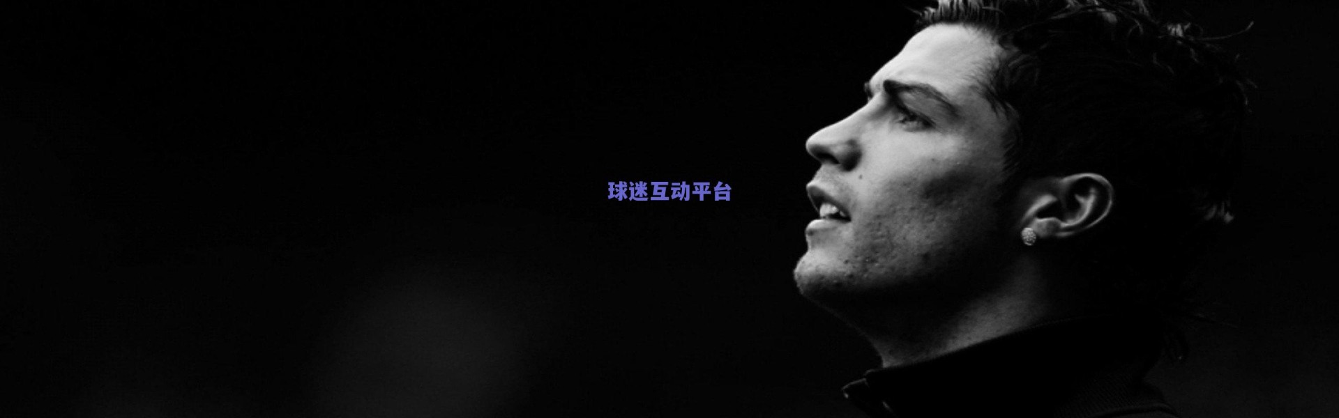 二十五年沉浮录,麦迪逊花园的希望与幻灭循环